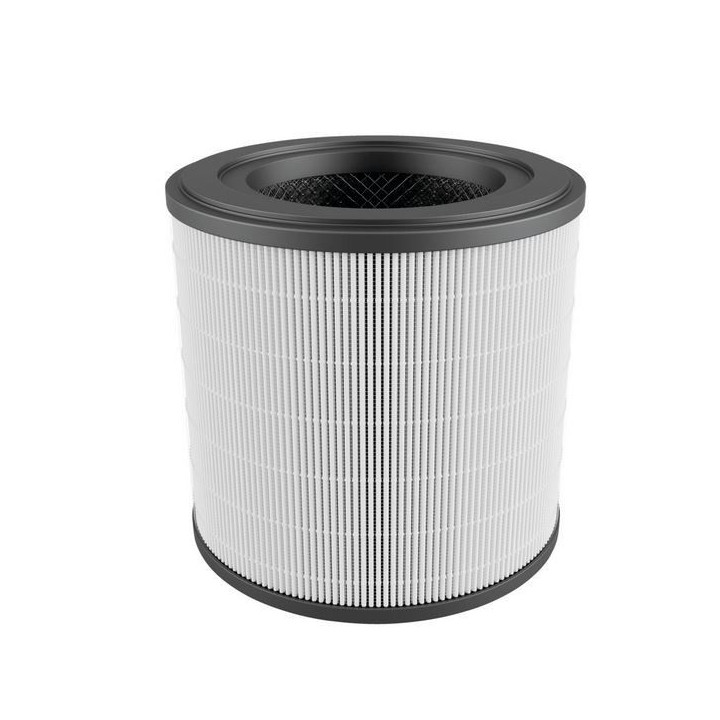 Филтър за пречиствател на въздух AEG